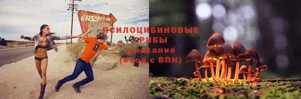 синтетический гашиш Алексин