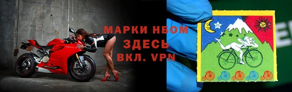 эйфоретик Алзамай