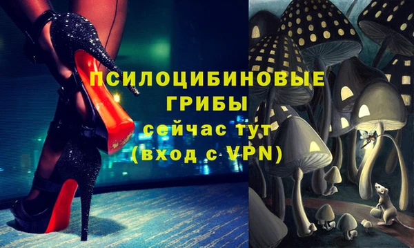 крисы Алексеевка
