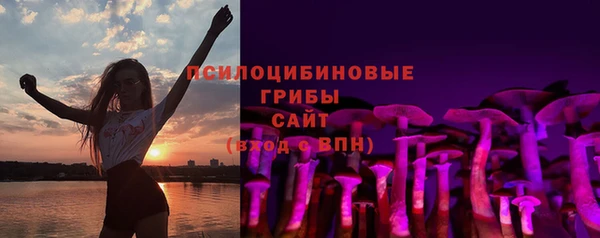 крисы Алексеевка