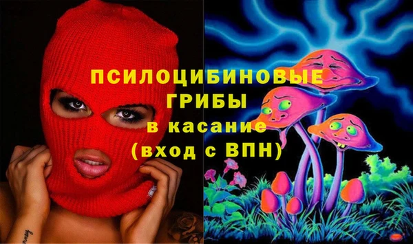 крисы Алексеевка